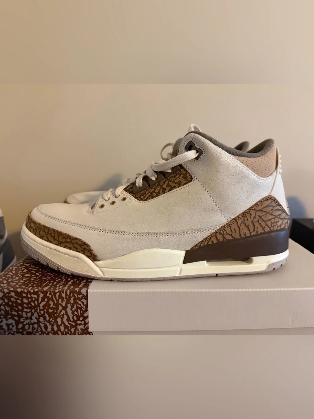Jordan Sneakers in White, Brown and Gold
